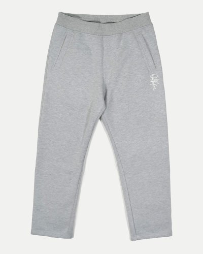 Брюки BASE GREY